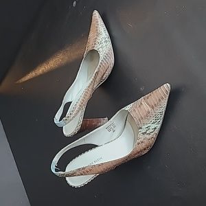 Anne Klein Women's Brown and blue crocodile skin 4" Pumps